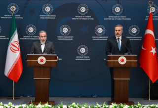 wp header logo176978520943214025