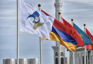 wp header logo17697960161583685912