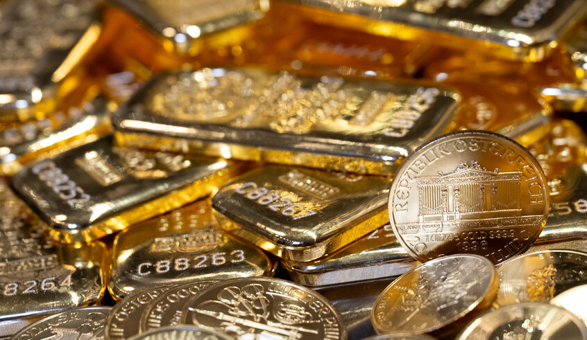 wp header logo1769803211103641130