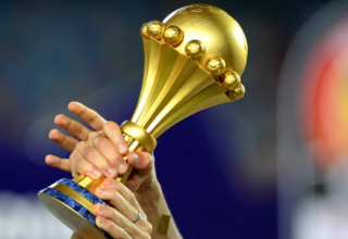 wp header logo176981400917752632