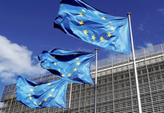 wp header logo1769832019178409235