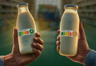 wp header logo17698356069082926