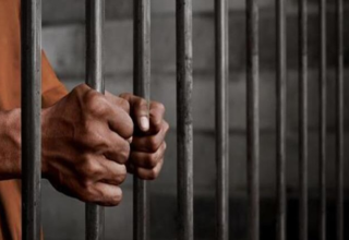 wp header logo1769835619268137949