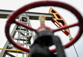 wp header logo17698428091890462347