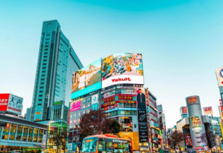 wp header logo17698572171365974074