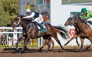 wp header logo1769871606983076863