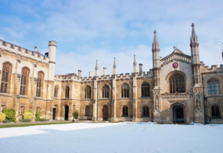 wp header logo17698716081822465827