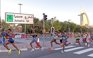 wp header logo17699076171334282181