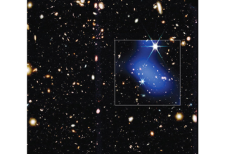 wp header logo176990762045626458