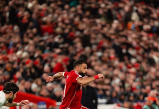 wp header logo17699292441287141766