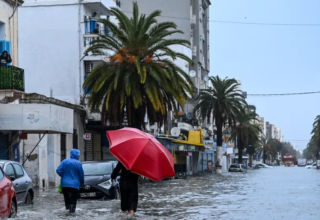 wp header logo17699328061409447590