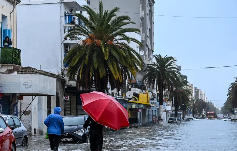 wp header logo17699328061409447590