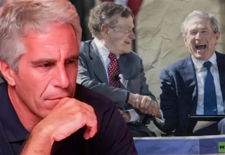 wp header logo1769932816443984226