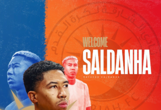 wp header logo17699616241811686136