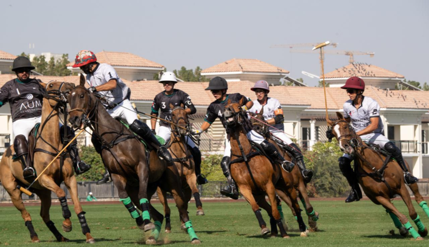 wp header logo1769968806692988184