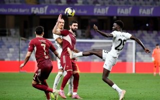 wp header logo1769972408475051243