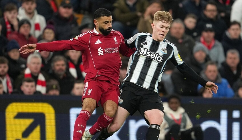 wp header logo17699832121329755615