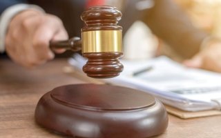 wp header logo1769994023262685221