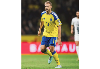 wp header logo17699940251756868178