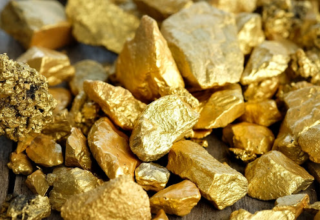 wp header logo1770008408921769544