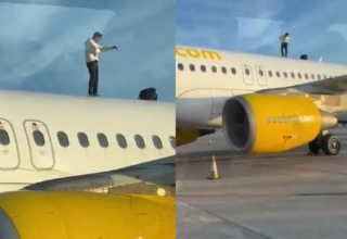 wp header logo1770012025606236372