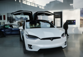 wp header logo177001923849337167