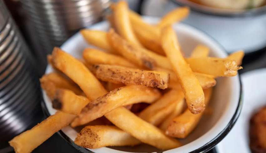 wp header logo17700336201665127475