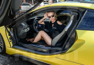 wp header logo17700372111071870456