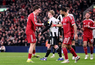 wp header logo1770037232952905982