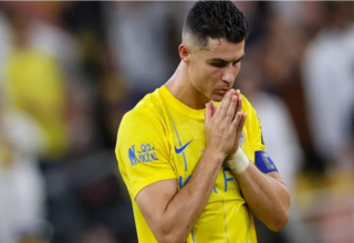 wp header logo1770044409287092646