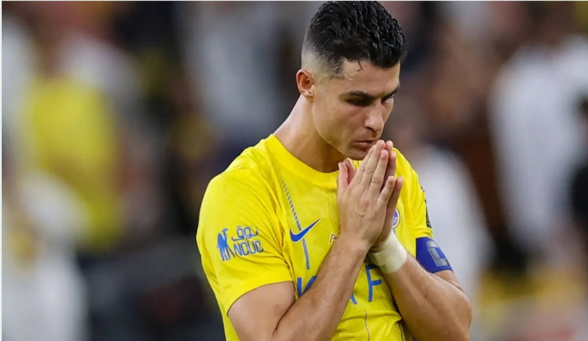 wp header logo1770044409287092646