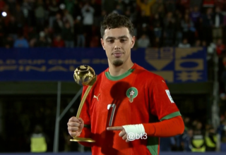 wp header logo17700444311987060796