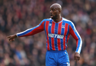 wp header logo17700480142053775371