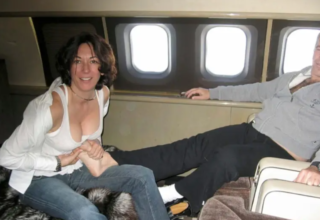 wp header logo17700588741299590103