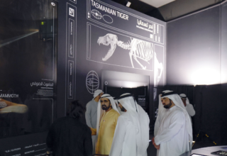 wp header logo1770062488699803990