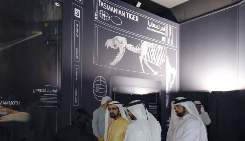 wp header logo1770062488699803990