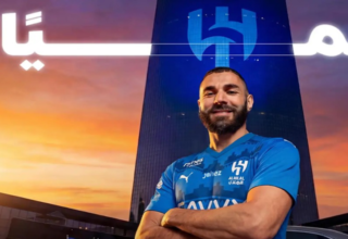 wp header logo1770073209856229015