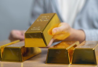 wp header logo1770091207267854776