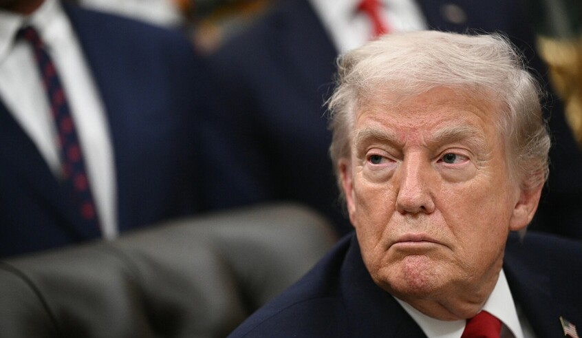 wp header logo1770094834224003791