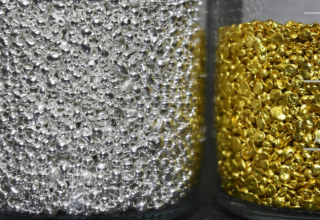 wp header logo17701020101651144157