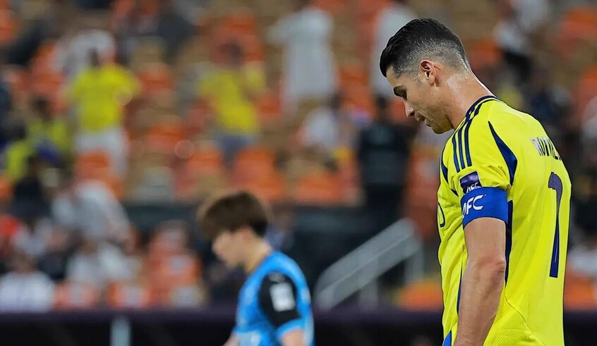 wp header logo17701056191436198814