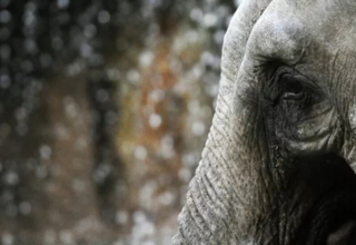 wp header logo17701056901951965592