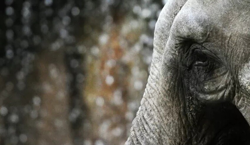 wp header logo17701056901951965592