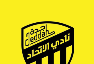 wp header logo17701236291088869426