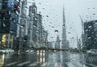 wp header logo17701272071445375626