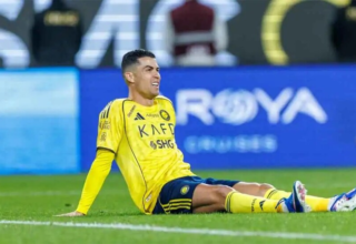 wp header logo1770127234694782752