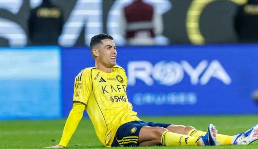 wp header logo1770127234694782752