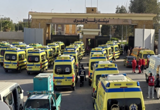 wp header logo17701308471684949764