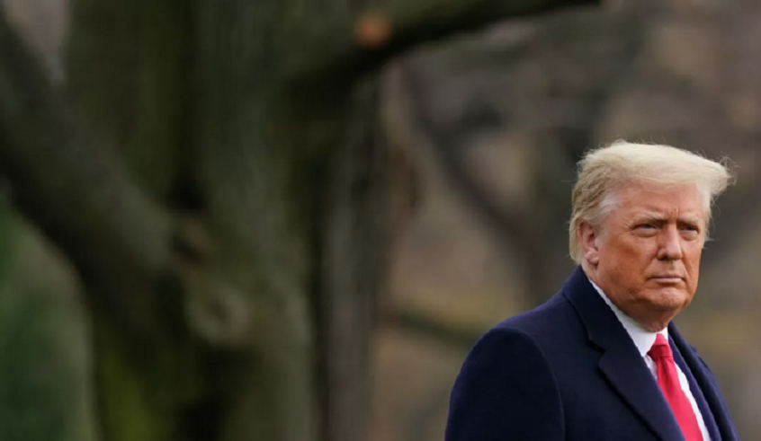 wp header logo1770130858996929961