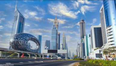 wp header logo17701380101721641883